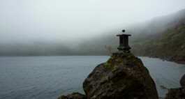 Kirishima organic green tea